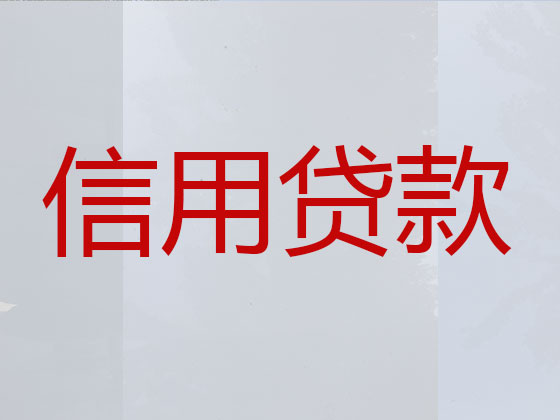 连云港抵押贷款-银行信用贷款